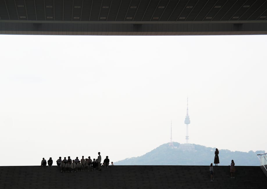 서울대 정시 신청