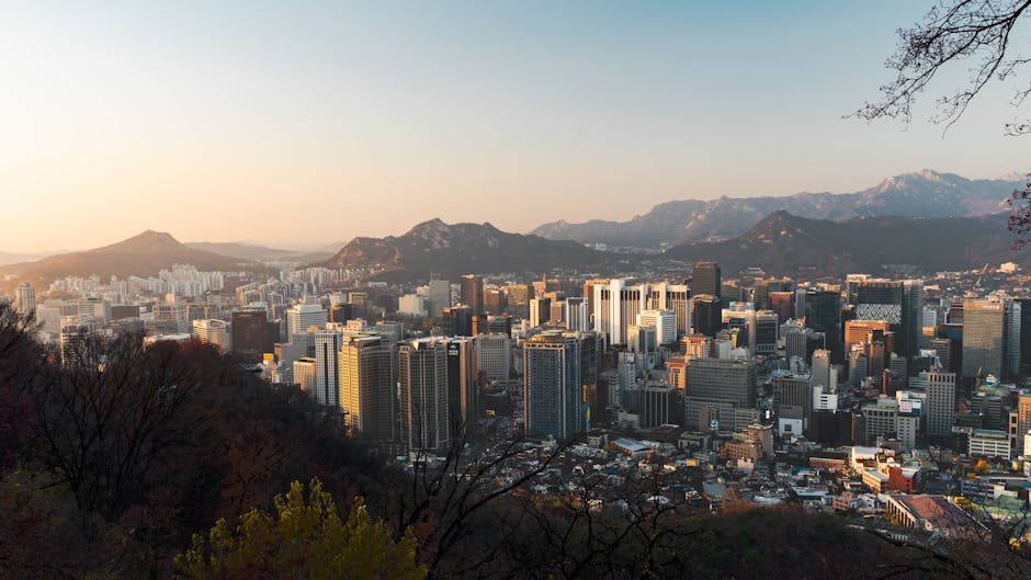 서울 자동차세 연납 신청