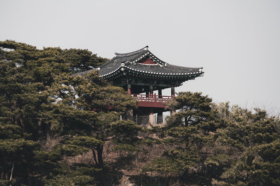 강원도 고성 스노쿨링