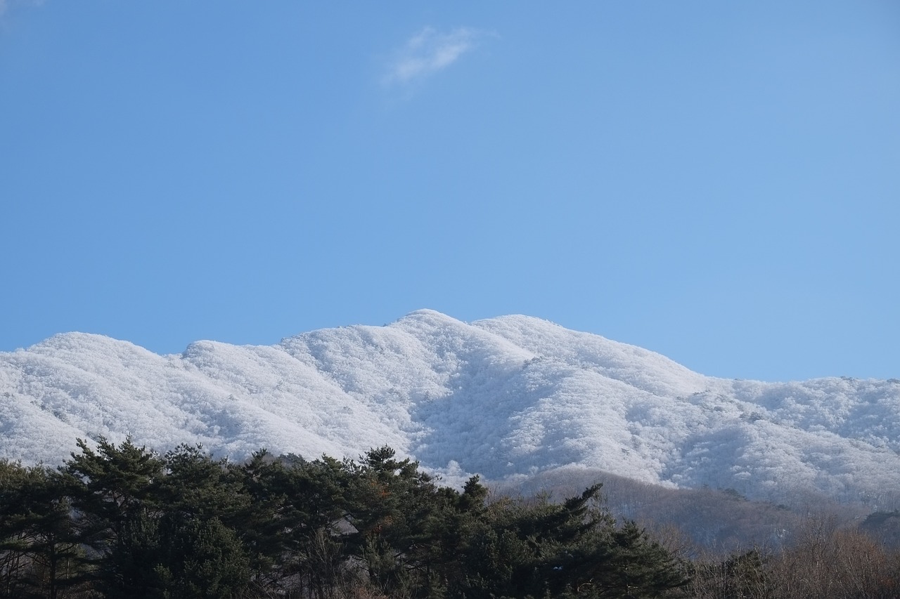 덕유산곤돌라예약