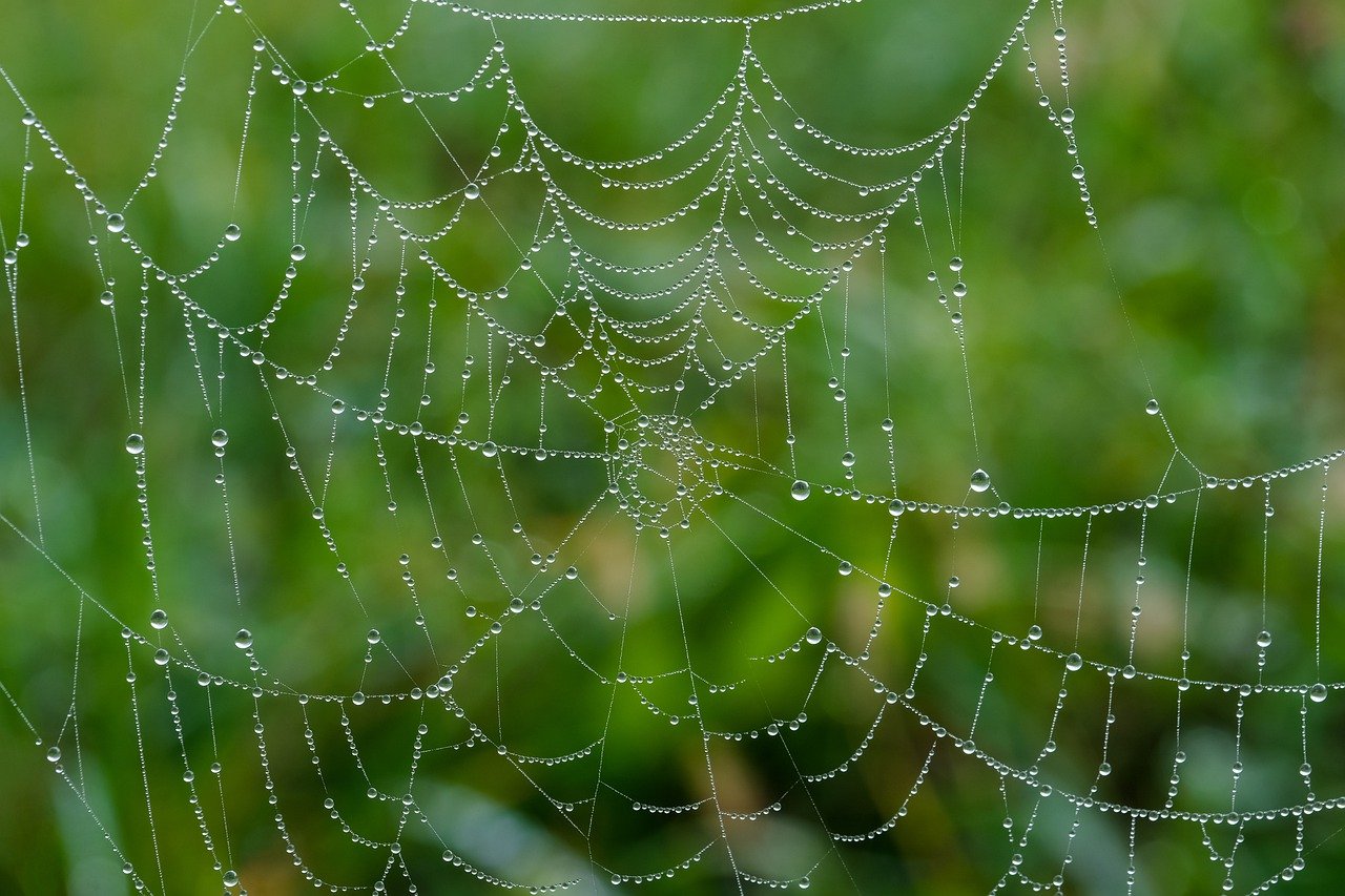 신청 접수 web 알림