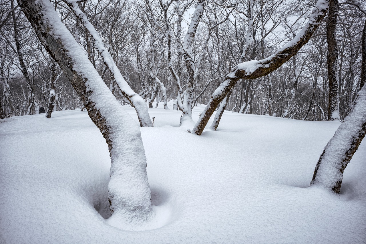 신설동 유령역 신청