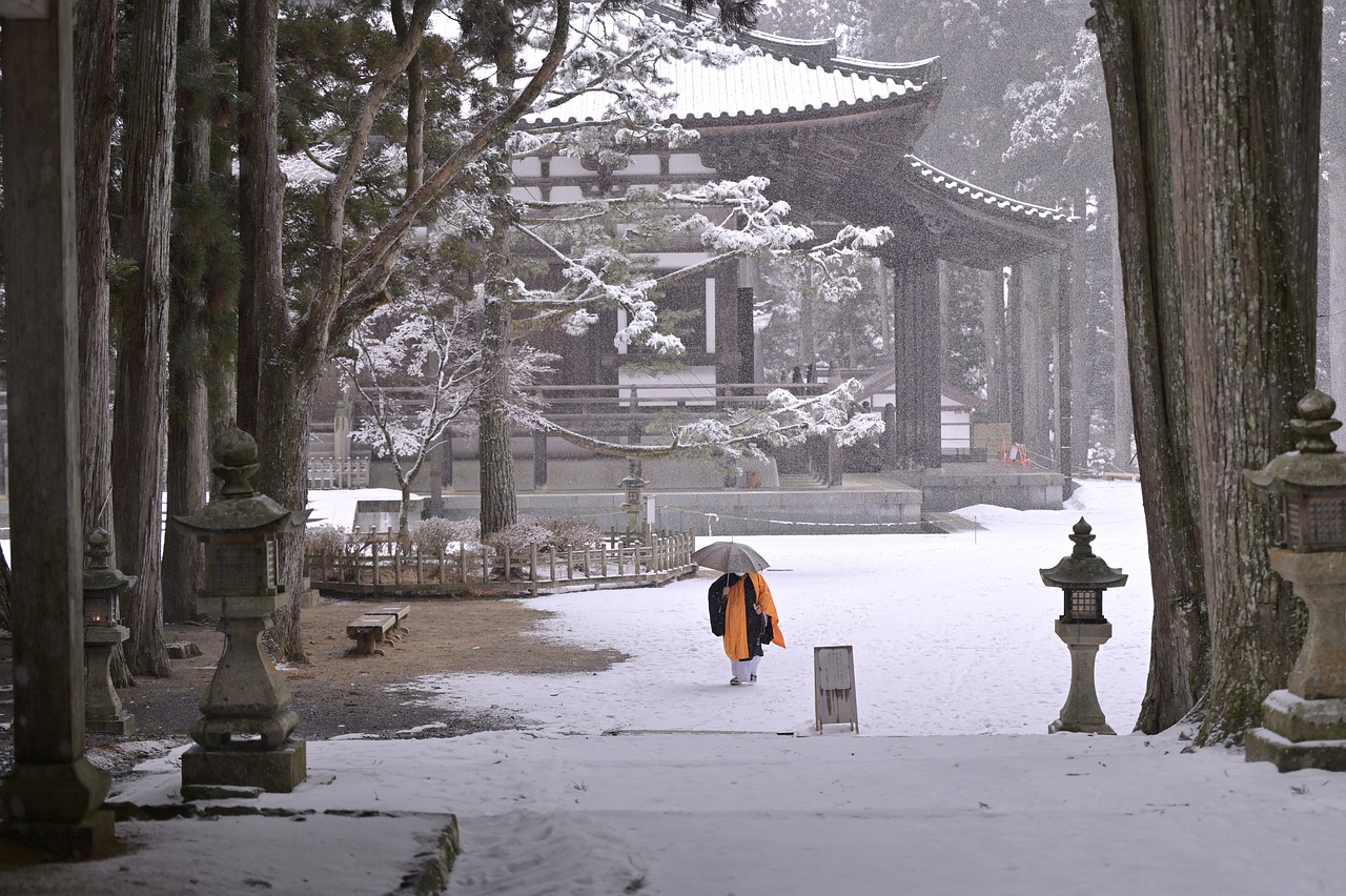수도얼었을때