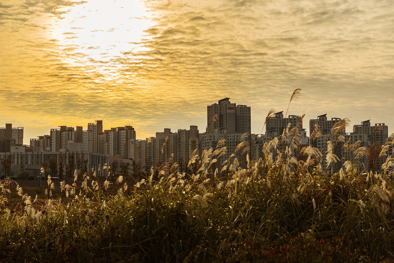 경기도 사회복지사 보수교육
