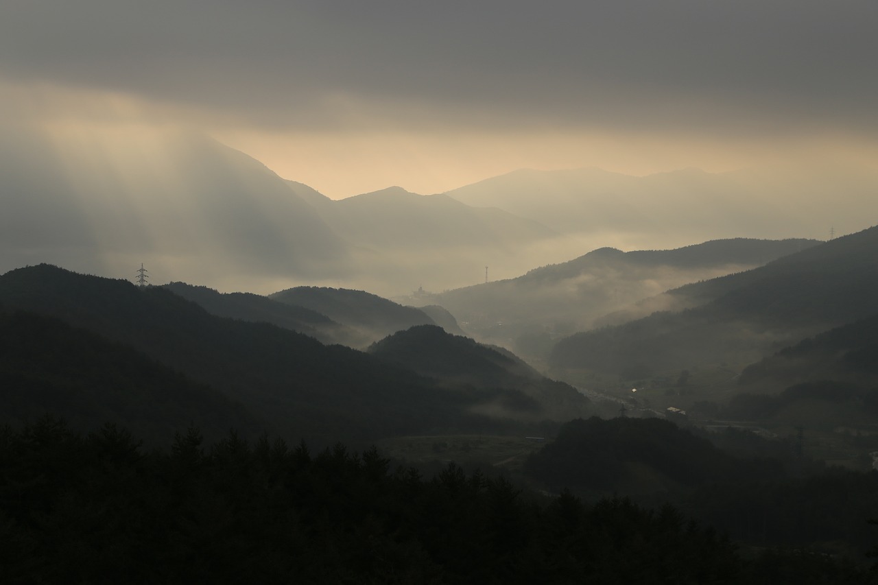 태백산눈꽃축제